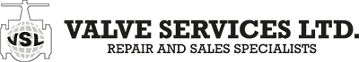Valve Services Logo